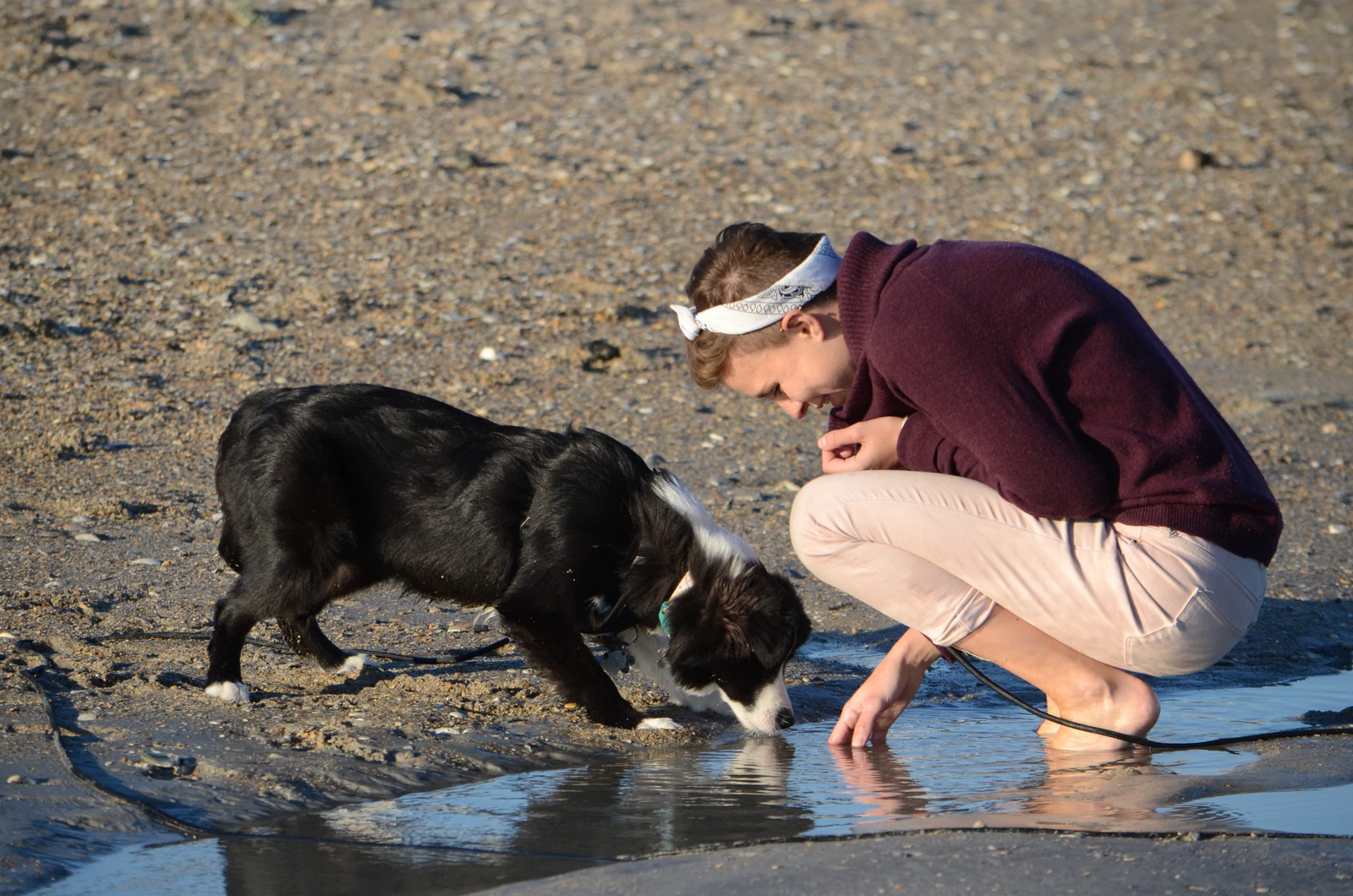 A person crouching beside a dog at the water's edge